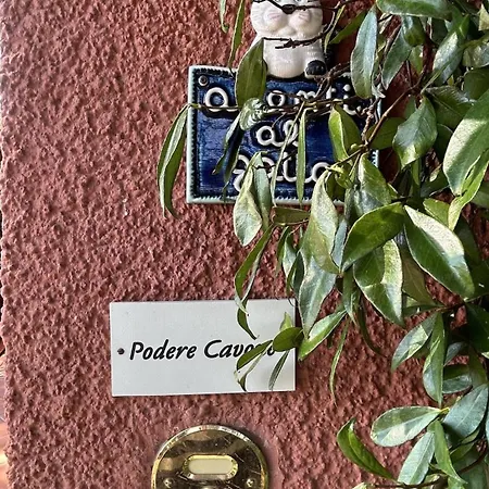 Podere Cavone La Vigna Tra Le Dolci Colline Della Maremma Villa *