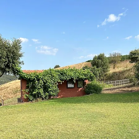 Podere Cavone La Vigna Tra Le Dolci Colline Della Maremma * Montiano (Tuscany)