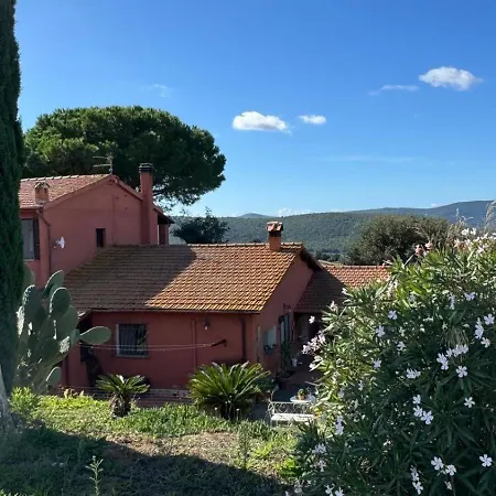Podere Cavone La Vigna Tra Le Dolci Colline Della Maremma * Montiano (Tuscany)